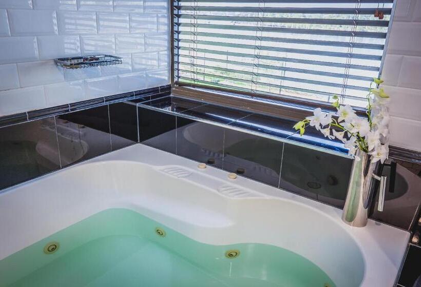 带河湖景观的套房, View Brisbane