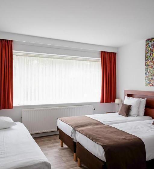 اتاق استاندارد, Olympia In Bruges