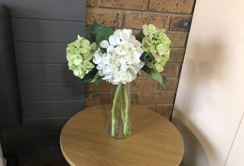 스탠다드 룸, Travellers Rest Motor Inn Swan Hill