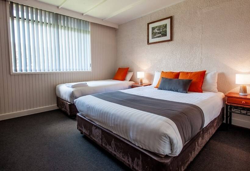 اتاق استاندارد, Silver Hills Motel