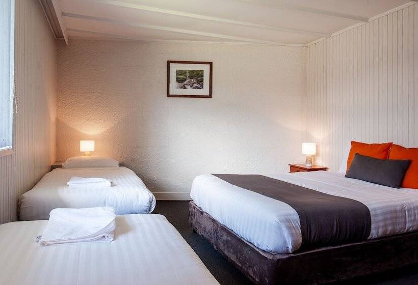 اتاق خانوادگی, Silver Hills Motel