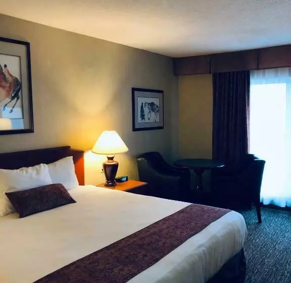 キングサイズベッドのスタンダードルーム, Anchor Inn And Suites