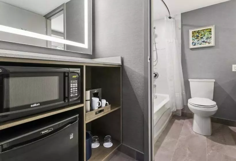 اتاق اجرایی با تخت بزرگ, Best Western Premier Calgary Plaza Hotel & Conference Centre