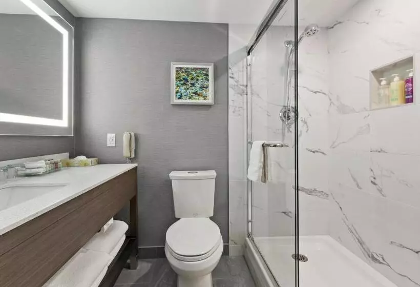 اتاق استاندارد با تخت بزرگ, Best Western Premier Calgary Plaza Hotel & Conference Centre