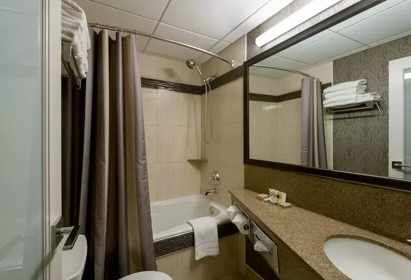 Premium-huone, Carriage House Hotel And Conference Centre