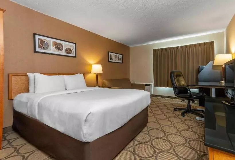 スタンダードルーム, Comfort Inn