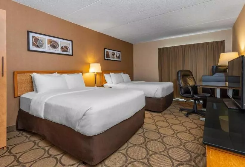 ２ダブルベッドのスタンダードルーム, Comfort Inn