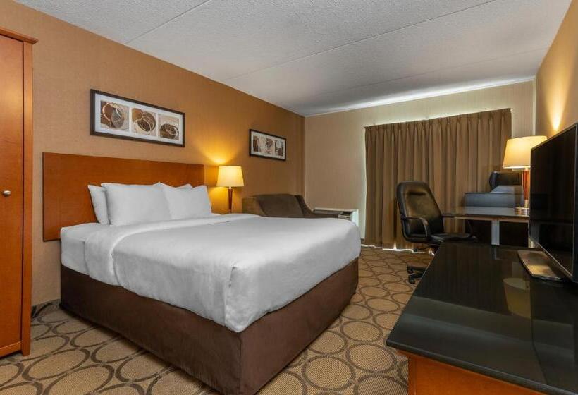 一楼标准间, Comfort Inn
