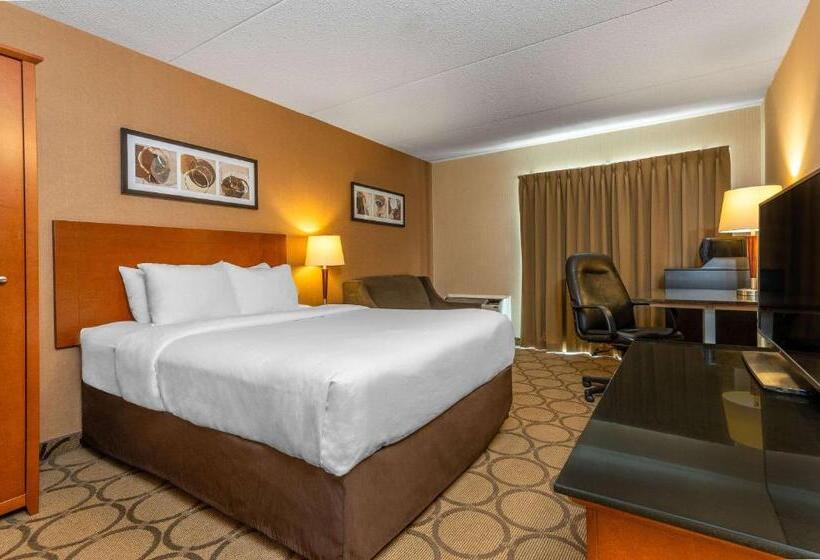 一楼标准间, Comfort Inn