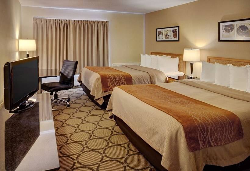 带2个双人床的标准工作室, Comfort Inn