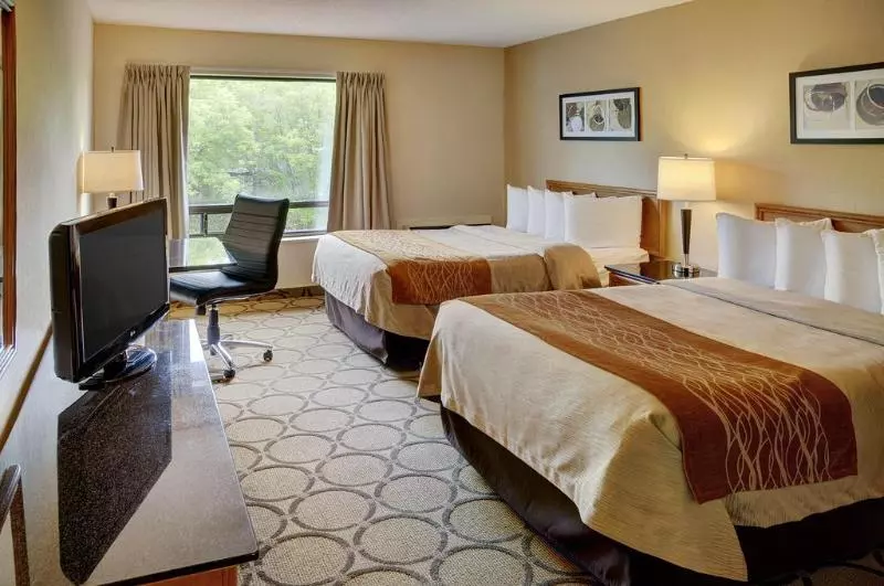 اتاق استاندارد, Comfort Inn South