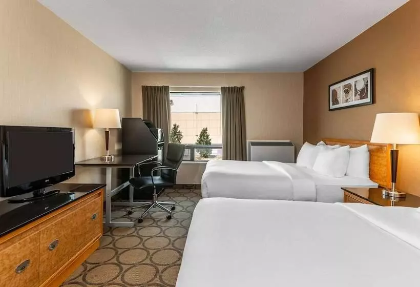 Quarto Standard 2 Camas Casal, Comfort Inn