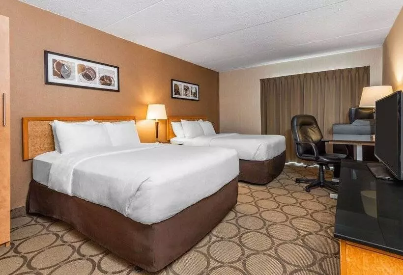 Quarto Standard 2 Camas Casal, Comfort Inn