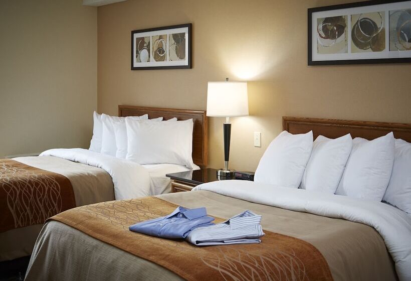 스탠다드 룸 더블 침대 2개, Comfort Inn