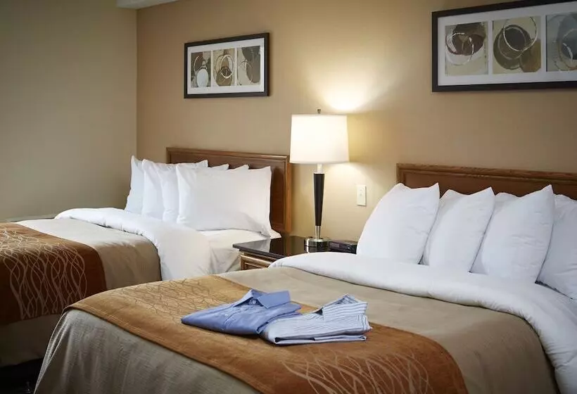 Quarto Standard 2 Camas Casal, Comfort Inn