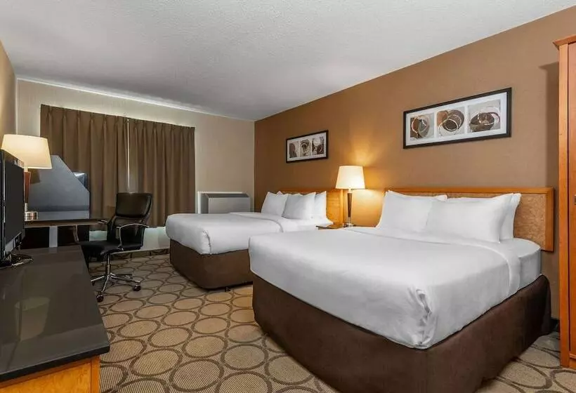 Quarto Standard 2 Camas Casal, Comfort Inn