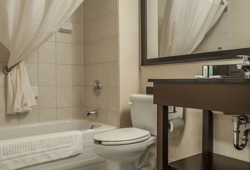 스탠다드 룸 더블 침대 2개, Comfort Inn