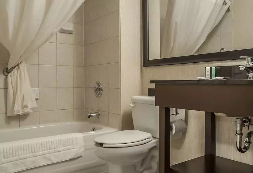 ２ダブルベッドのスタンダードルーム, Comfort Inn