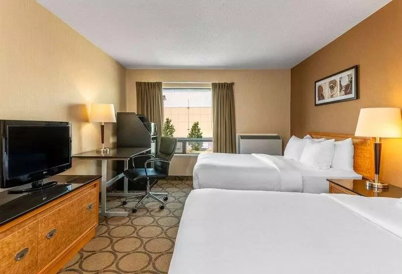 ２ダブルベッドのスタンダードルーム, Comfort Inn