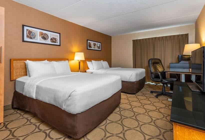 ２ダブルベッドのスタンダードルーム, Comfort Inn