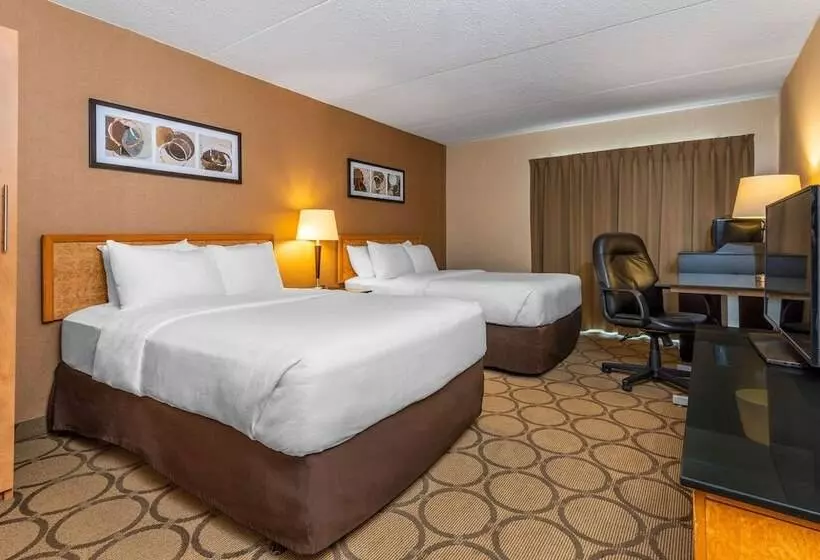 ２ダブルベッドのスタンダードルーム, Comfort Inn