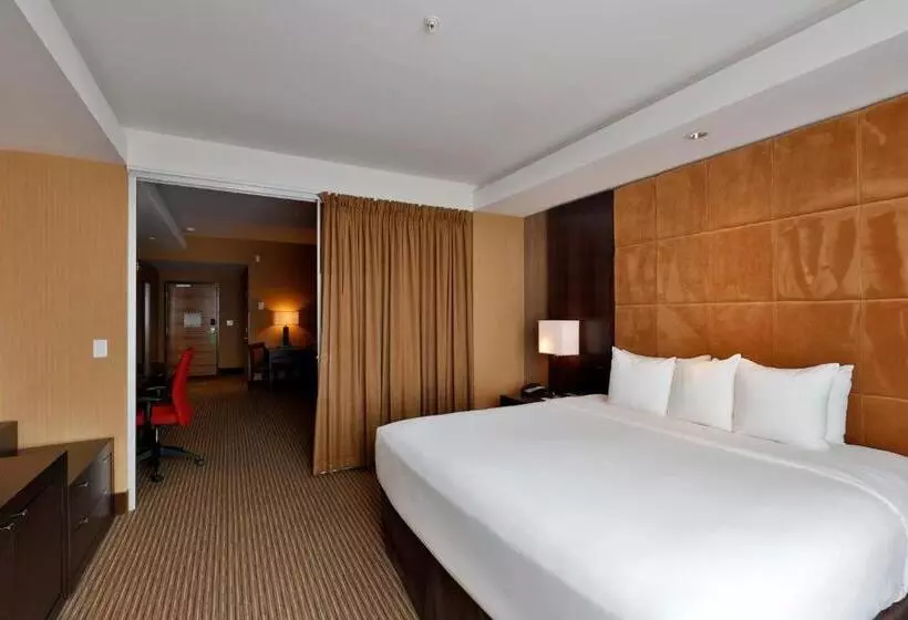 سوئیت با تخت بزرگ, Edmonton Hotel And Convention Centre