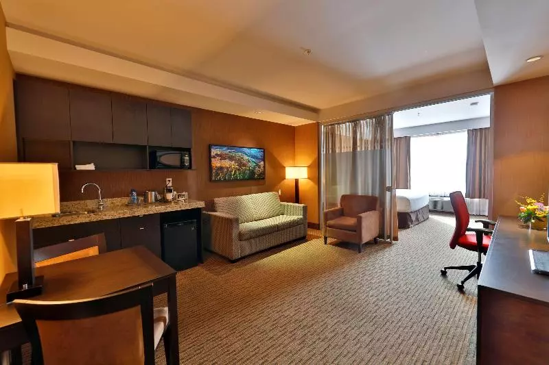 سوئیت با تخت بزرگ, Edmonton Hotel And Convention Centre