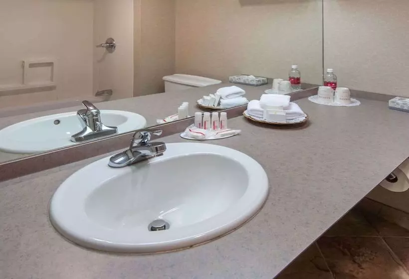 اتاق استاندارد با 2 تخت دوبل, Ramada Plaza By Wyndham Calgary Downtown