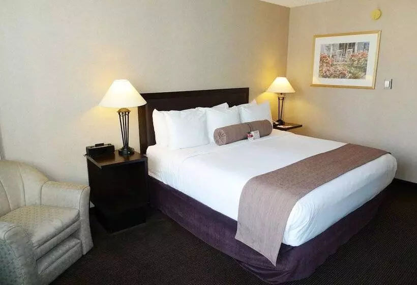 Standard-huone Parivuode, Ramada Plaza By Wyndham Calgary Downtown