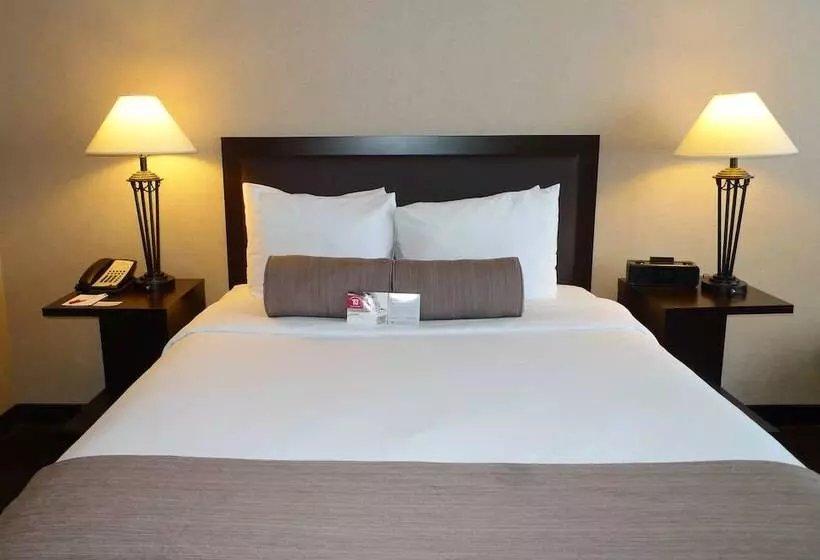 Standard-huone Parivuode, Ramada Plaza By Wyndham Calgary Downtown