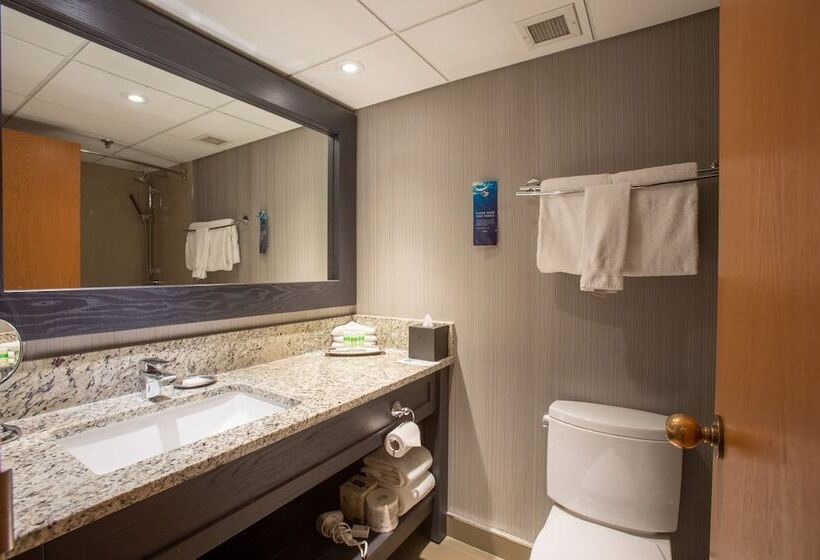 חדר סופריור, Banff Park Lodge