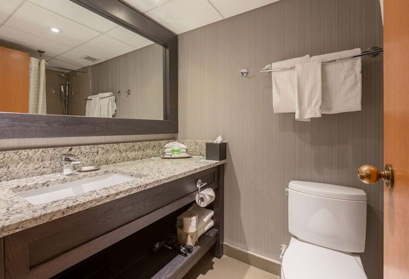 חדר סופריור, Banff Park Lodge