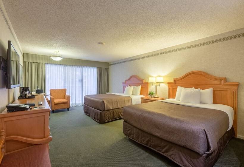 高级大房间, Banff Park Lodge