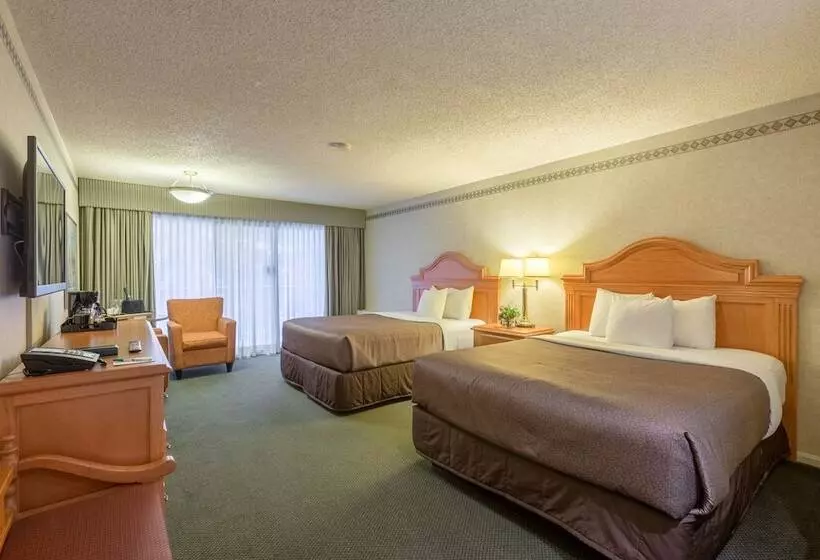 スーペリアールーム, Banff Park Lodge