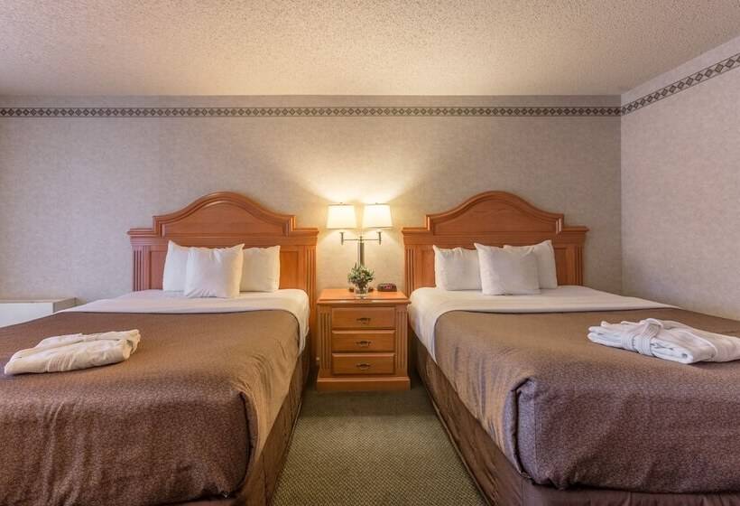 חדר סופריור, Banff Park Lodge