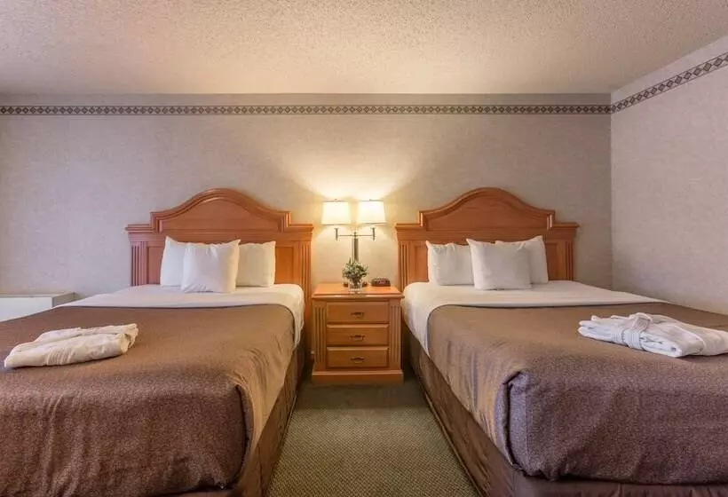 スーペリアールーム, Banff Park Lodge