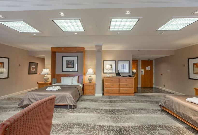 标准间, Banff Park Lodge