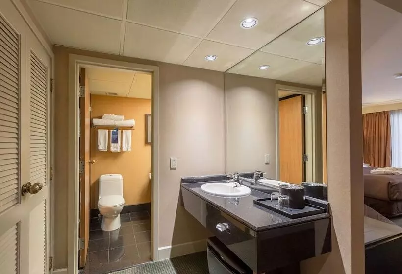 Deluxe-huone Poreallas, Banff Park Lodge