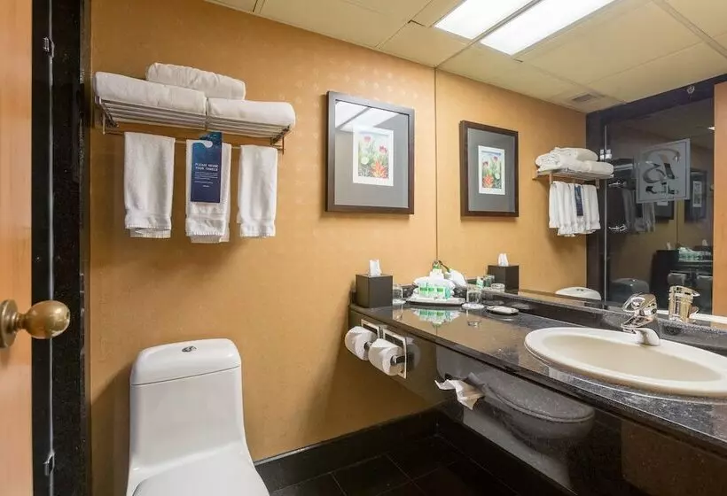 Deluxe-huone Poreallas, Banff Park Lodge