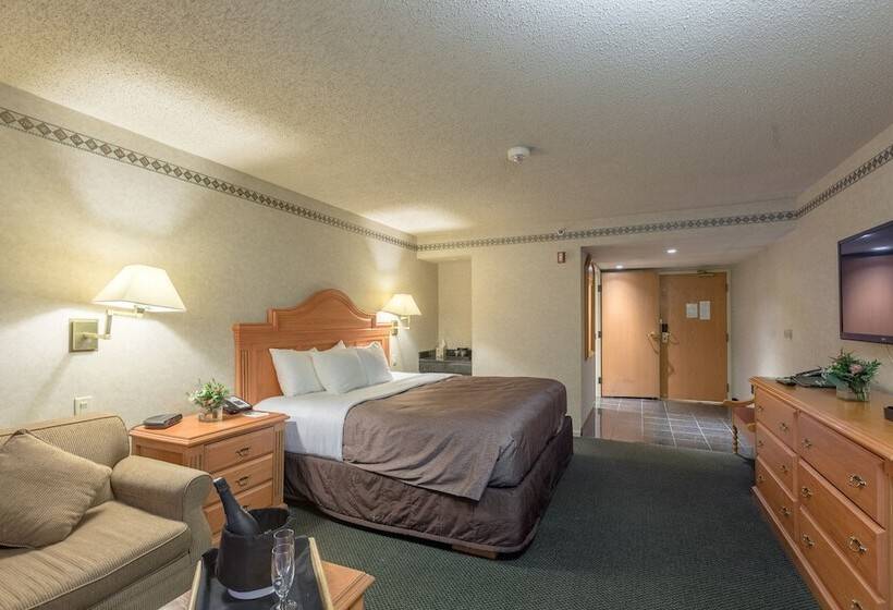 חדר סופריור, Banff Park Lodge