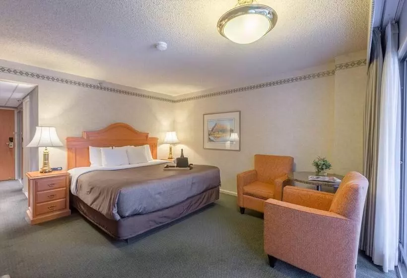 Superior-huone Yhdistettävä, Banff Park Lodge
