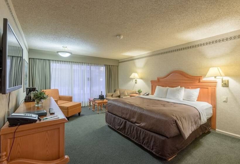 高级大房间, Banff Park Lodge