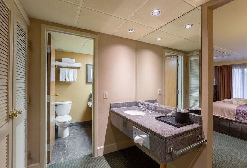 חדר סטנדרט, Banff Park Lodge