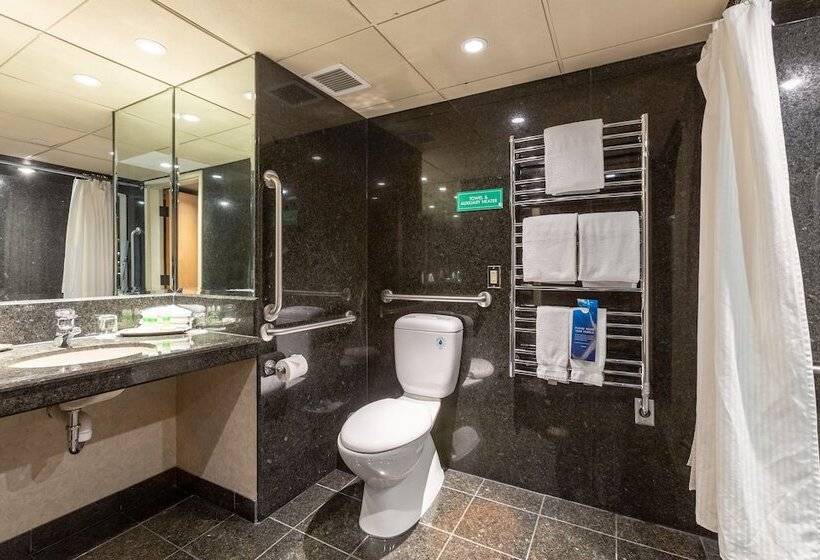 חדר סופריור, Banff Park Lodge