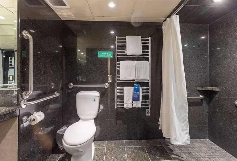 חדר סופריור, Banff Park Lodge