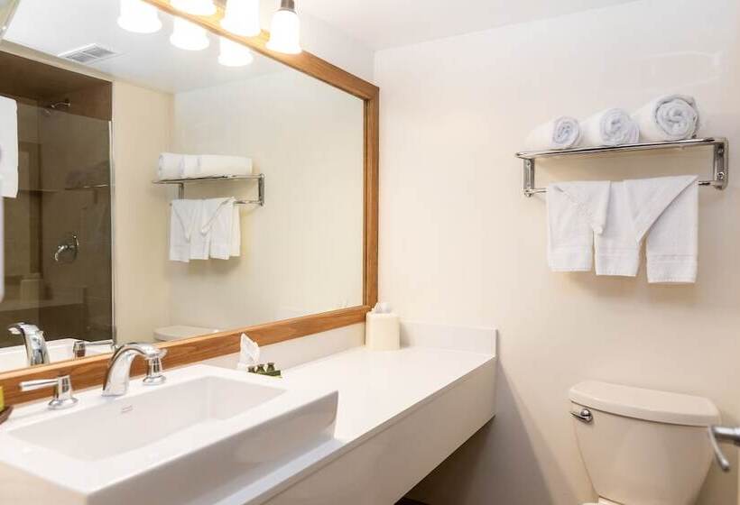 غرفة قياسية, Hidden Valley Resort, Ascend Hotel Collection