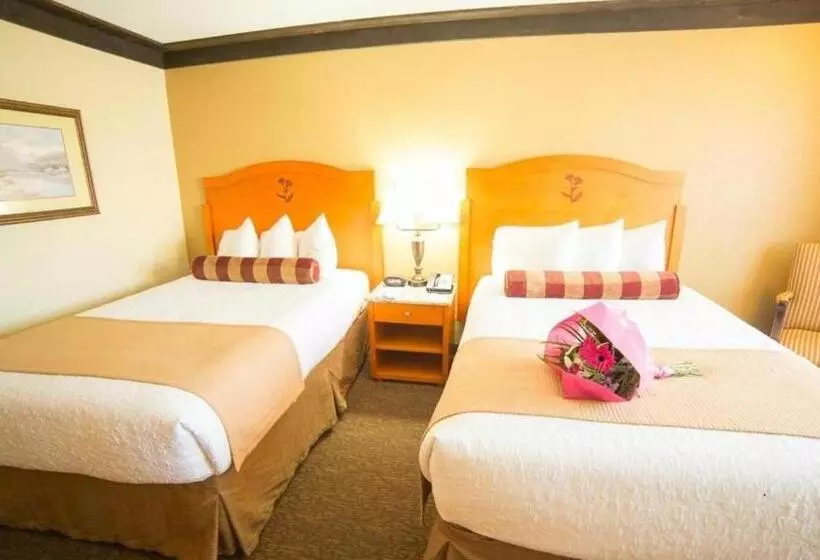 Standard Room 2 Double Beds, Abercorn Hotel, Trademark Collection By Wyndham