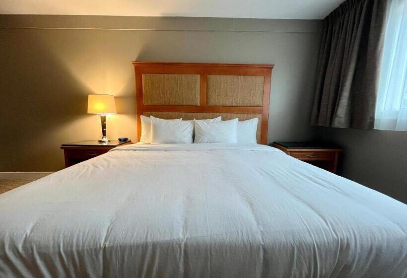 سوئیت با تخت بزرگ, Anavada Inn & Suites  Prince George