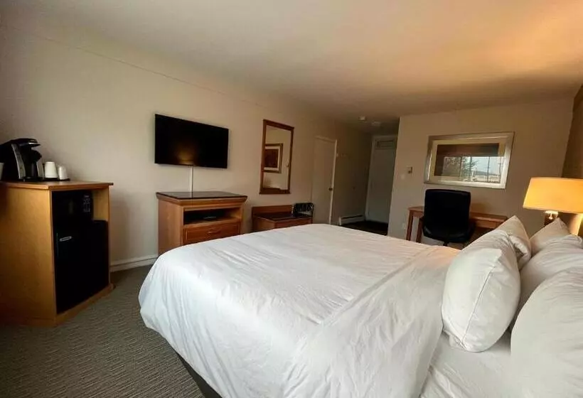سوئیت با تخت بزرگ, Anavada Inn & Suites  Prince George