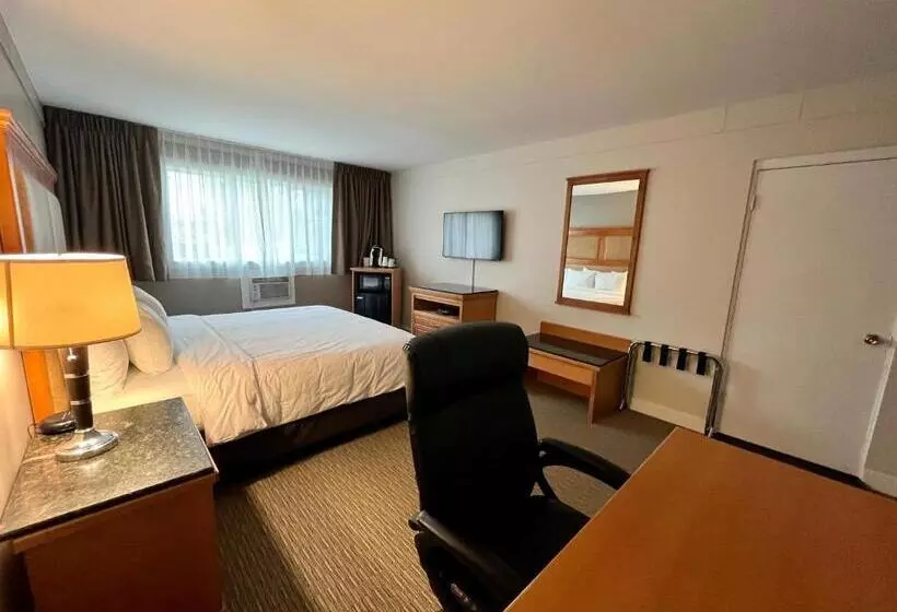 سوئیت با تخت بزرگ, Anavada Inn & Suites  Prince George